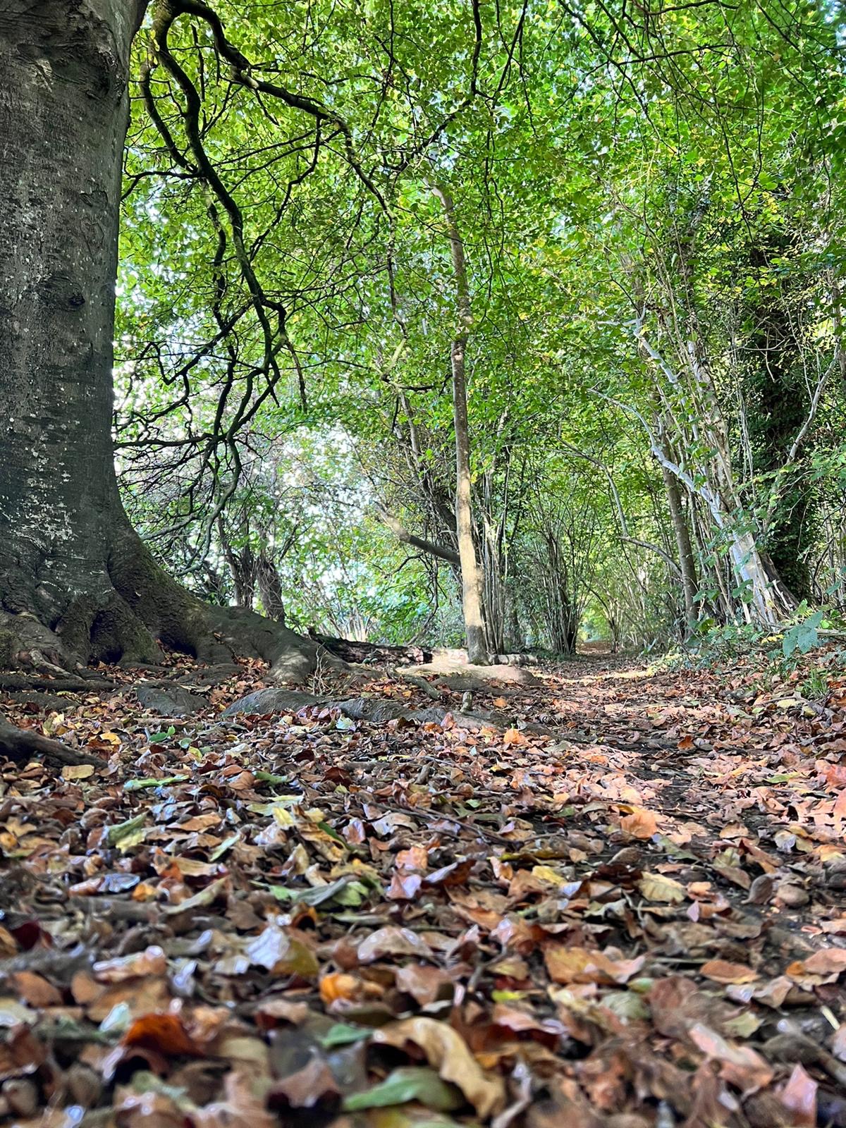 trail-running-events-uk-running-events